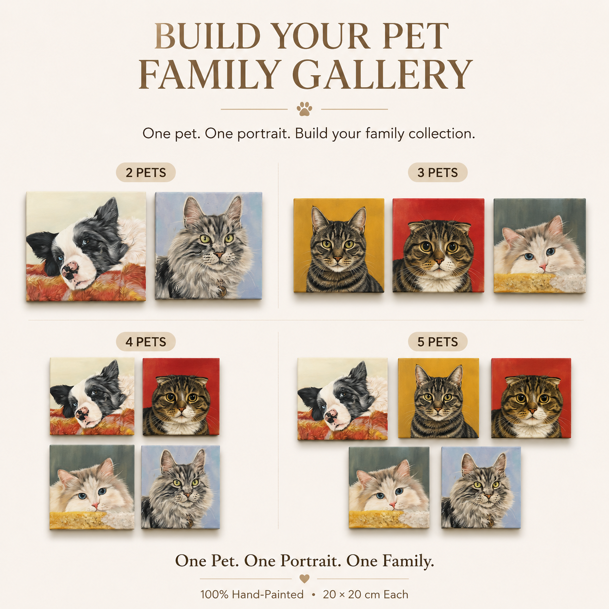 Pet Portrait Framing Ideas for a Calm, Personal Display