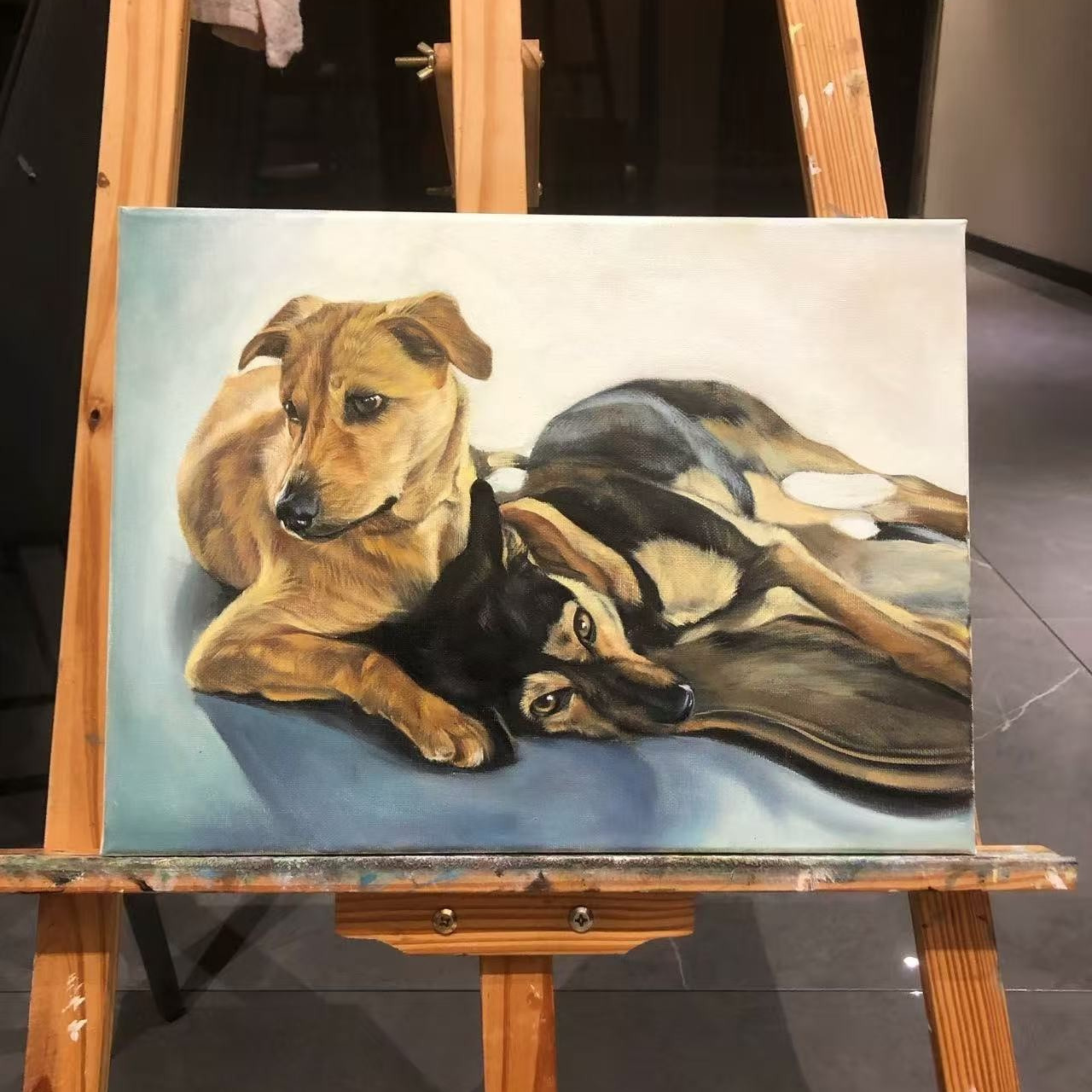 Pet Portrait Background Ideas: Keep, Simplify, or Change the Scene?