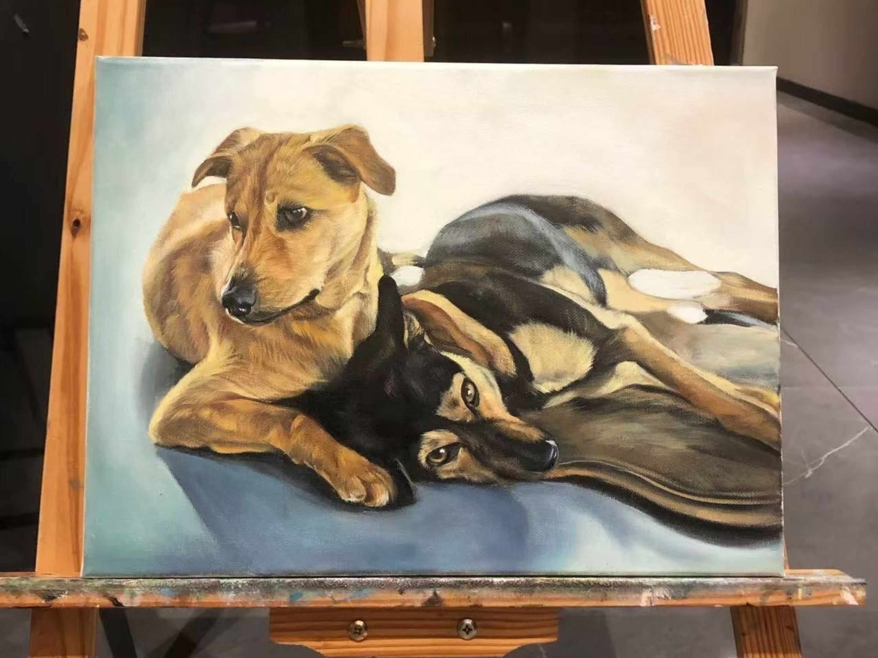 Pet Portrait Gallery Wall Ideas: Arranging More Than One Meaningful Piece